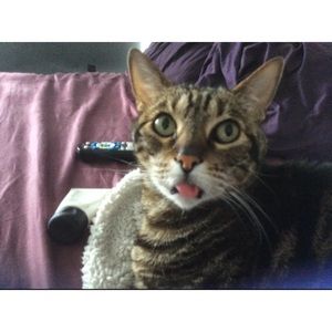 Meet your Posher, Lori